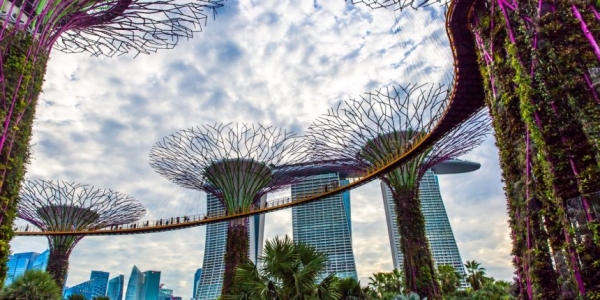 싱가포르 IRAS가 2020년부터 디지털 결제 토큰에 대해 세금 면제 정책 시행을 검토 중이다. 사진출처: 코인데스크 